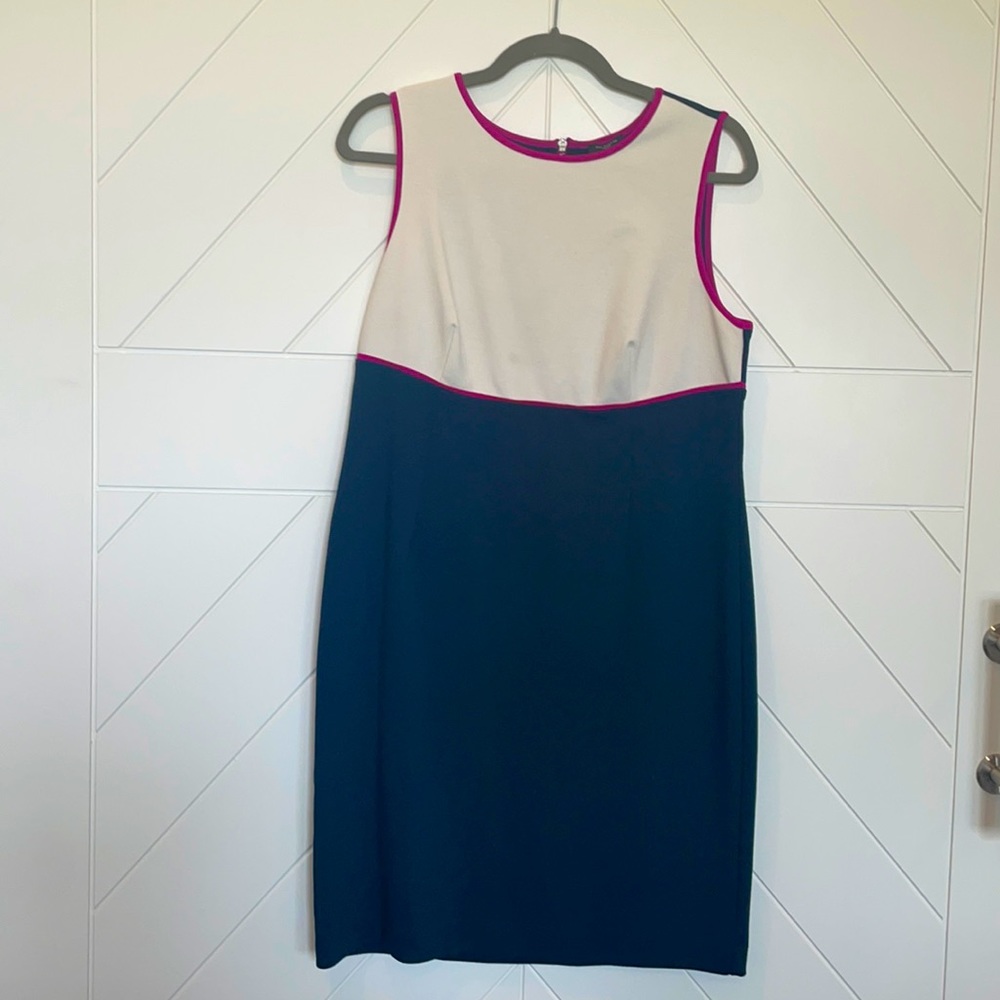 Ann Taylor size 12P dress